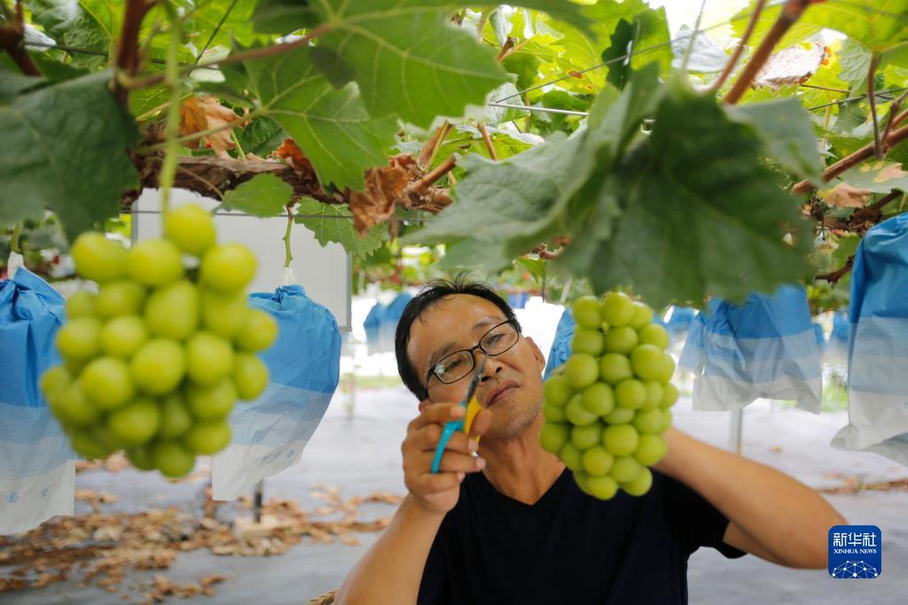 注册就送38可微信提现